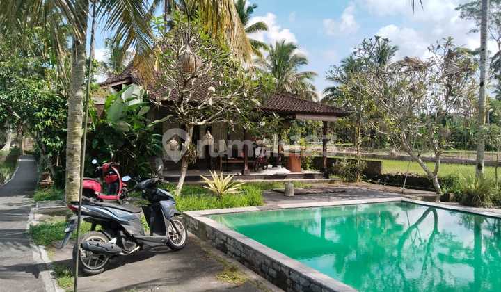 Villa Complex with Rice Field View in Tegallalang Ubud Gianyar Villa Complex with Rice Field View in Tegallalang Ubud Gianyar