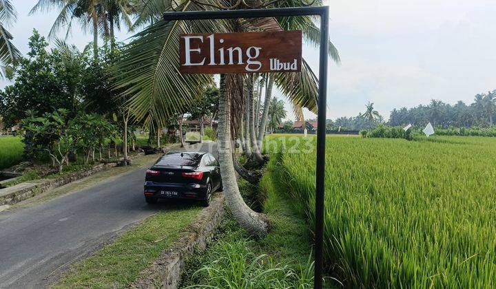 Tanah Sewa View Sawah Dekat Air Terjun di Sumapan, Gianyar 3.000 m² 1