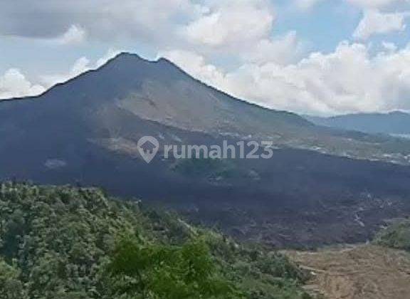 TANAH PREMIUM LANGKA DI AREA KINTAMANI BALI 1