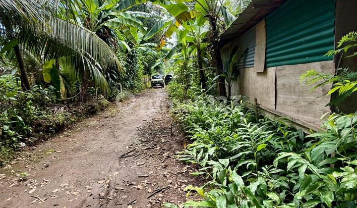 A Plot of Land in the Lod Tunduh Ubud Area