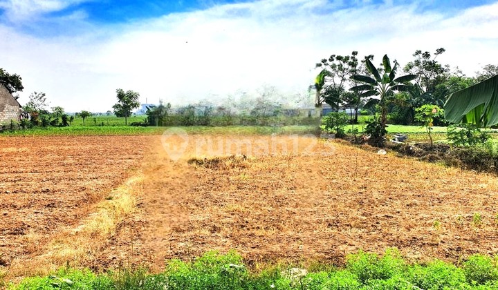 Lahan tanah luas 60x41 2478m Babelan Bekasi Lahan tanah luas 60x41 2478m Babelan Bekasi