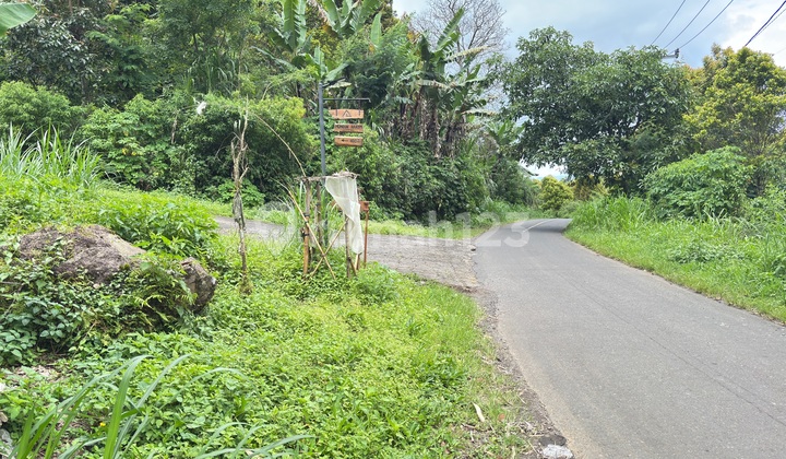 Tanah Jual 1 Hektar di Dusun Pandak Desa Gesing, Banjar, Buleleng Tanah Jual 1 Hektar di Dusun Pandak Desa Gesing, Banjar, Buleleng
