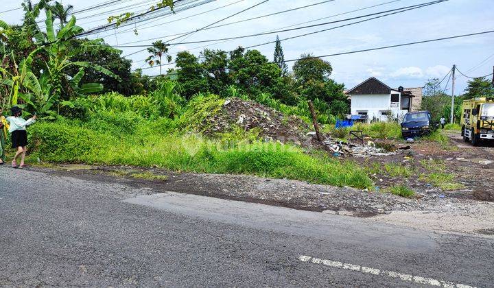 Disewakan Tanah area Villa di Jl Tumbak Bayuh, Pererenan 4