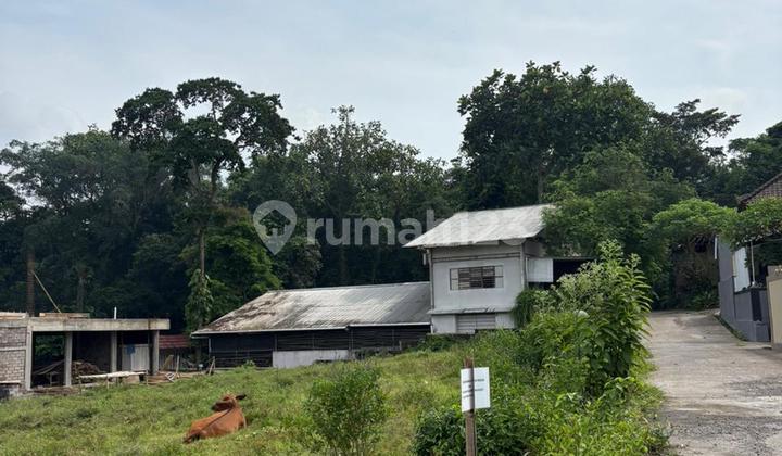 Tanah Jual di Jl Pantai Kedunggu Hadap Timur dan Selatan, Tabanan Tanah Jual di Jl Pantai Kedunggu Hadap Timur dan Selatan, Tabanan