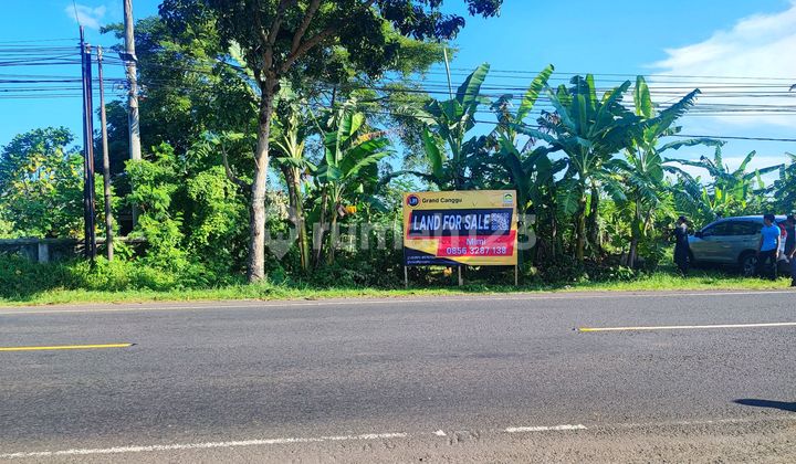 Tanah Jual Di Jalan Utama Di Jl Raya Denpasar, Gilimanuk, Banyubiru, Jembrana Tanah Jual Di Jalan Utama Di Jl Raya Denpasar, Gilimanuk, Banyubiru, Jembrana