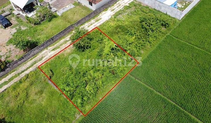  For Sale 2 Are At Buwit Kaba Kaba, 500 Meter From Ulaman Resort With Rice Field