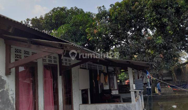 Dijual Tanah Bogor Ciampea 1000 Meter Cocok Untuk Pemancingan 2