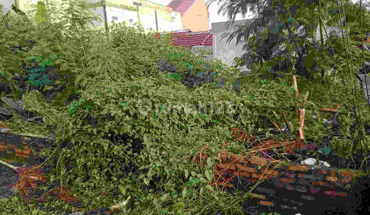 TANAH MURAH BONUS RUMAH Kontrakan strategis bebas banjir di Jatikramat  5