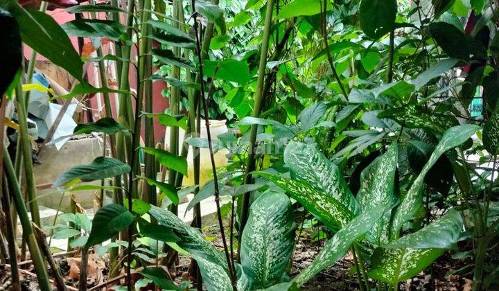 RUMAH HITUNG TANAH dlm KOMPLEK BESAR di JATIMAKMUR  3