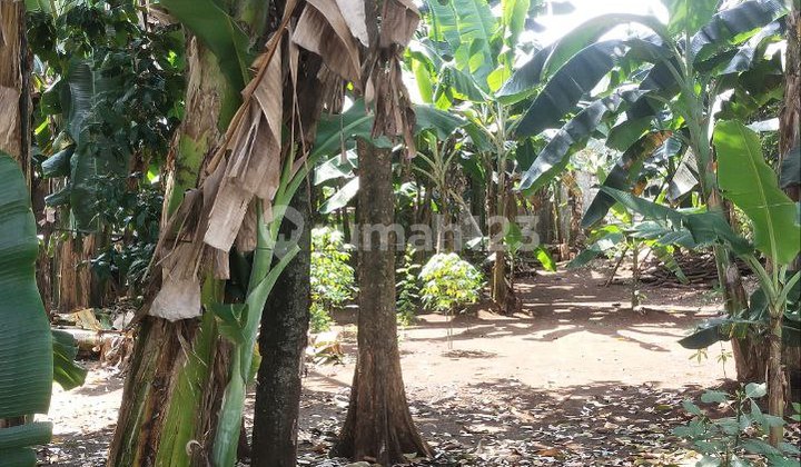 Cheapest Land 637m² Lot Suitable for Rental Units On Jl. Raya Wibawa Mukti Cheapest Land 637m² Lot Suitable for Rental Units On Jl. Raya Wibawa Mukti