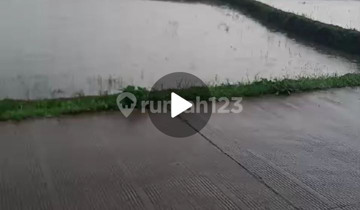 Di Jual TANAH SAWAH di BABAKAN RADEN, CARIU, KAB BOGOR