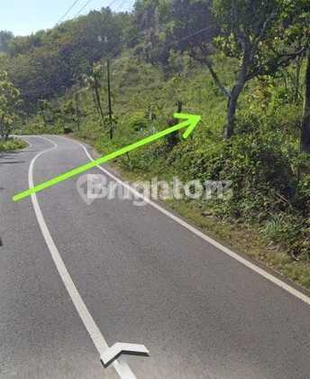 Pekarangan Pantai Drini