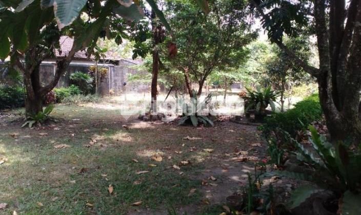 Pekarangan siap bangun atau usaha dekat Samsat Sleman 