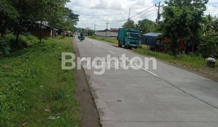 TANAH AREA BERKEMBANG SENTOLO, SELANGKAH BANDARA INTERNASIONAL YOGYAKARTA JOGJA, SELANGKAH TUGU PENSIL MONUMEN KIJANG JALAN RAYA WATES  SENTOLO 1