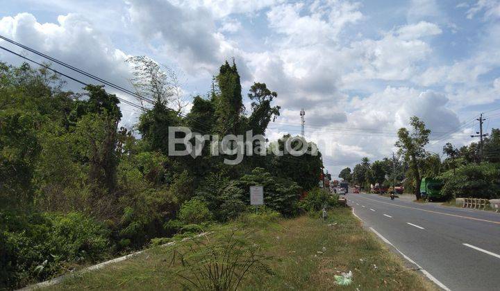 TANAH STRATEGIS JALAN NASIONAL, JL. RAYA JOGJA PURWOREJO,DIKELILINGI SEDAYU GENERAL HOSPITAL, KAMPUS: MERCU BUANA, UKDW 1