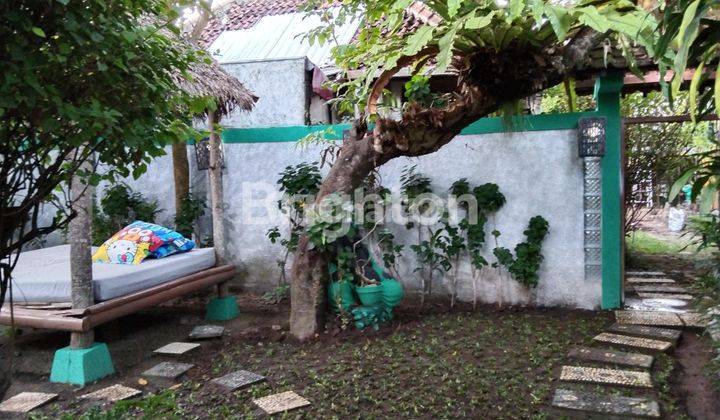 VILLA MANTRIJERON KERATON MALIOBORO, AREA KAMPUNG BULE, PUSAT WISATA GUEST HOUSE, CAFE RESTO BULE MANCANEGARA. HIDDEN GEM, PRIVATE POOL, FULL FURNISHED HARGA DISKON 2