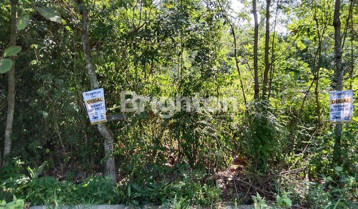 TANAH AREA STRATEGIS SEDANG BERKEMBANG PESAT, DIKELILINGI POM BENSIN, ALFAMART. SELANGKAH TUGU PENSIL, RS QUEEN LATIFA KULONPROGO 2