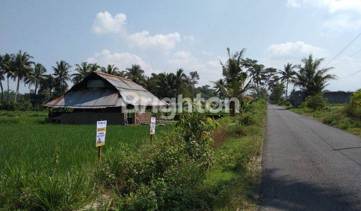 SAWAH VIEW GUNUNG MERAPI DI AREA WISATA JOGJA TIMUR PLUMBON, SINDUMARTANI 2