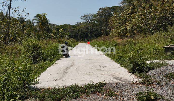 TANAH KAVLING KULON PROGO 5 MENIT JL. RAYA WATES, MENUJU BANDARA INTERNASIONAL YOGYAKARTA DIKELILINGI PERUMAHAN GIRIPENI PERMAI, NDALEM GIRIPENI 2