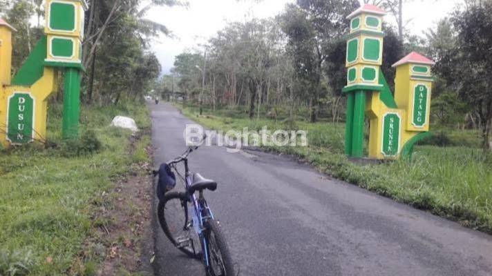 TANAH PEKARANGAN CANGKRINGAN, COCOK UNTUK HOMESTAY, CAFFE KAFE, RESTO, GUDANG 1