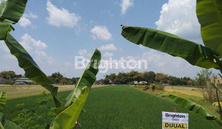 SAWAH KLATEN, LOKASI STRATEGIS, SELANGKAH STASIUN, TERMINAL, RSUD BAGAS WARAS, STIEKES SMK MUHAMADIYAH, PERUMAHAN TAMAN ANGGREK, PASAR SRAGO 2