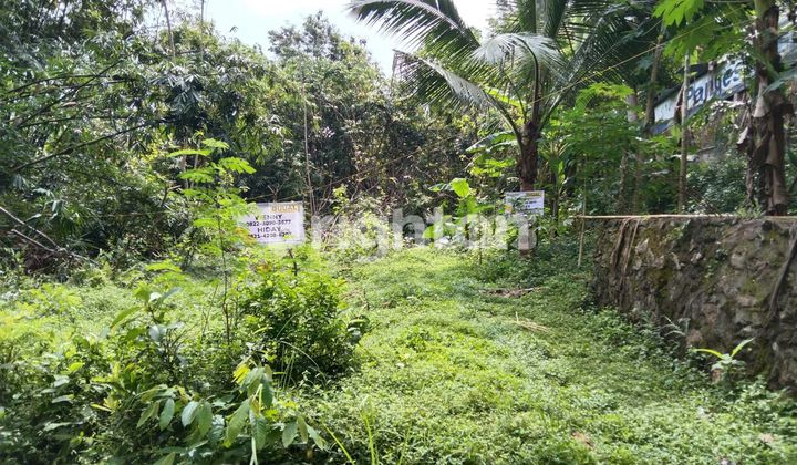 Yard near next UIN Pajangan campus Yard near next UIN Pajangan campus