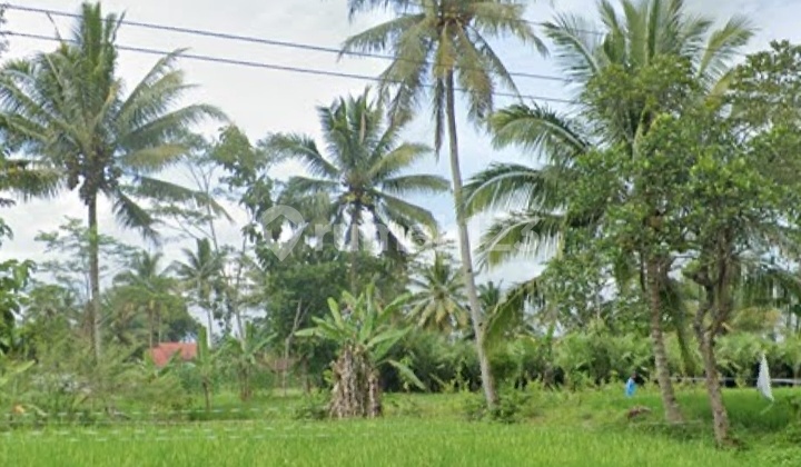 Pulowatu Pakem Kaliurang Atas