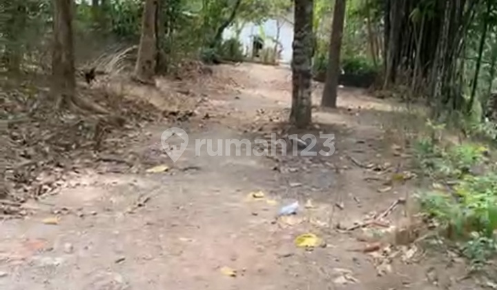 Next Kampus Ukdw, Area Berkembang Arah Bandara Next Kampus Ukdw, Area Berkembang Arah Bandara