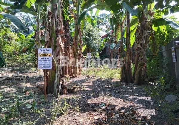 Kaliurang UGM Yard Surrounded by Boarding Houses Kaliurang UGM Yard Surrounded by Boarding Houses