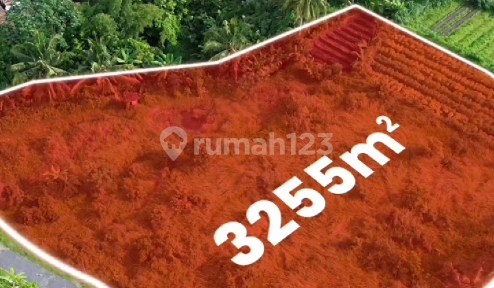 Pekarangan Pakem View Gunung Merapi Pekarangan Pakem View Gunung Merapi