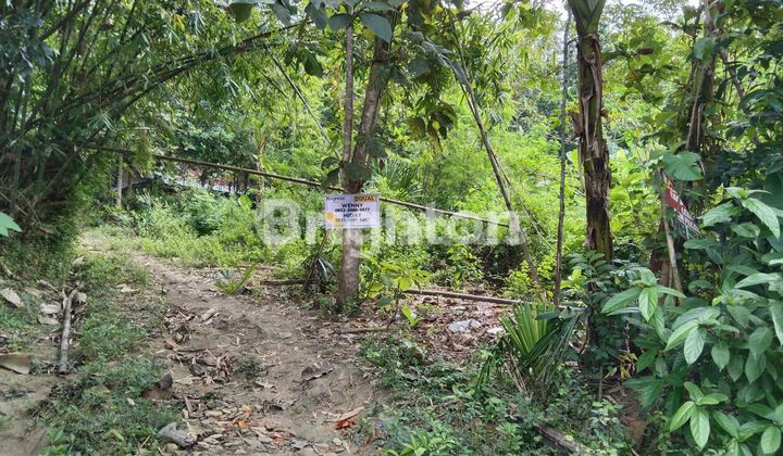Pekarangan dekat kampus STIE Hamfara Tugu Gentong Bangunjiwo 