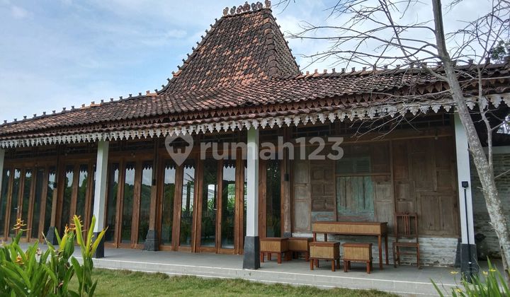 Guest House Homestay Villa Joglo Full Furnished, Suasana Alam, Tidak Jauh Dari Tol. 1