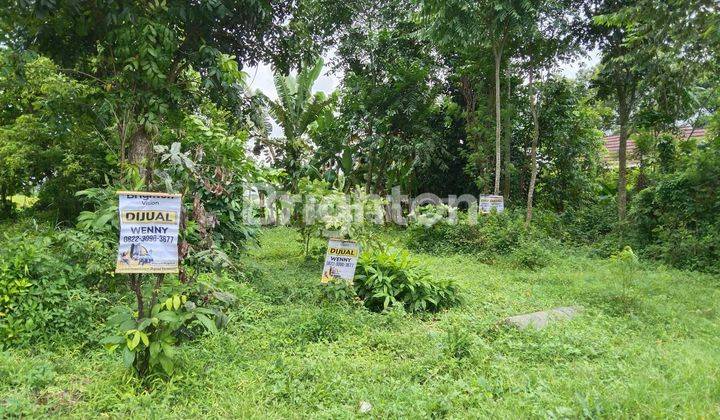 Pekarangan Candi Plaosan tol Prambanan 2
