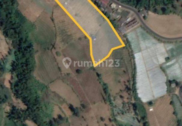 Tanah Sapikerep Probolinggo Jawa Timur SHM Dav.a019 1