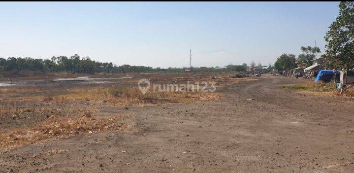 Tanah  Raya Curasawo Gending Probolinggo Jawa Timur SHM Dav.a023 1
