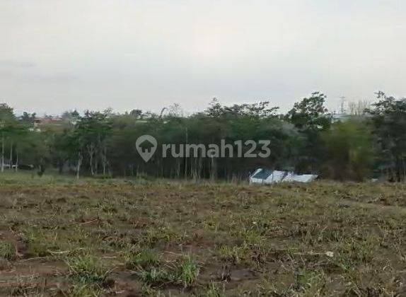 Tanah Siap Bangun Cocok Untuk Perumahan di Mulyorejo Malang 2