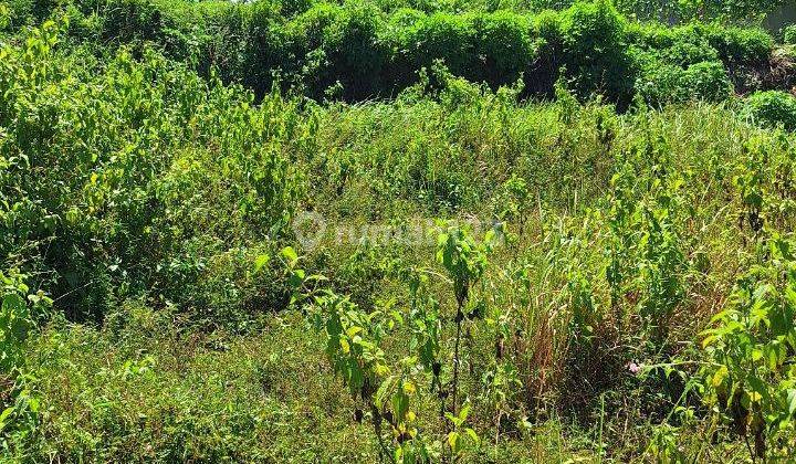 Tanah Bentuk Gentong di Villa Puncak Tidar Malang 2