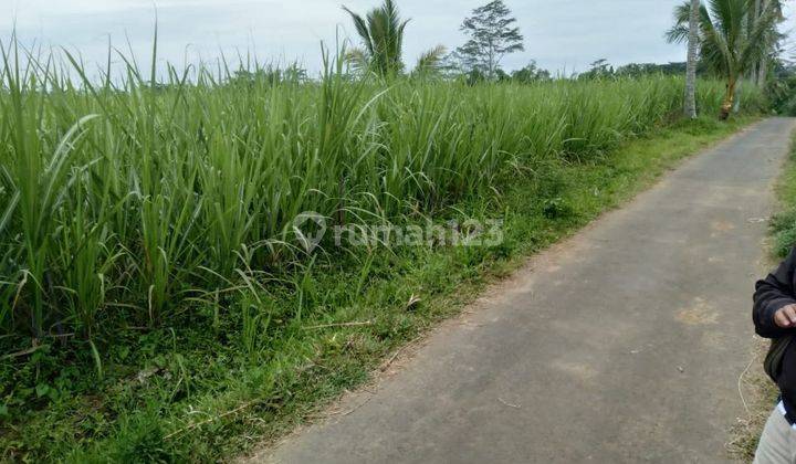 Dijual Tanah di Kedungmonggo Pakisaji Malang 1