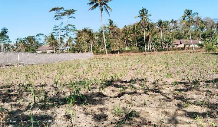 Tanah Turen Malang, Siap Bangun harga Bawah Pasar 1