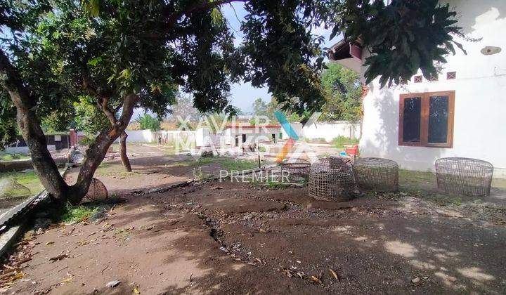 Tanah Poros Jalan Cocok Untuk Gudang Atau Pabrik di Purwosari Pasuruan 2