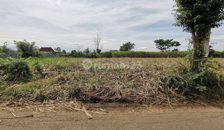 Tanah Kavling Cocok Untuk Perumahan di Karangploso Malang 1