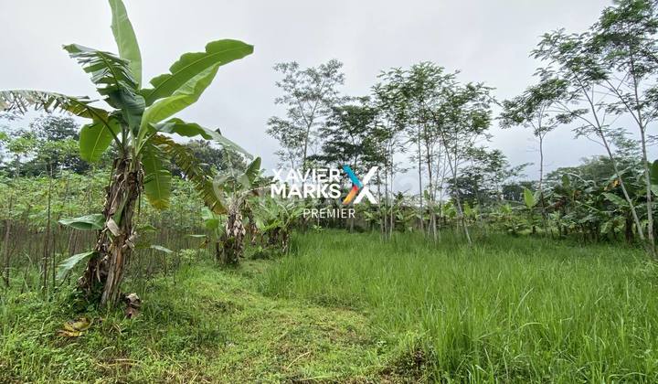 Ready-to-Build Plot of Land in Pandanlandung, Wagir, Malang Ready-to-Build Plot of Land in Pandanlandung, Wagir, Malang