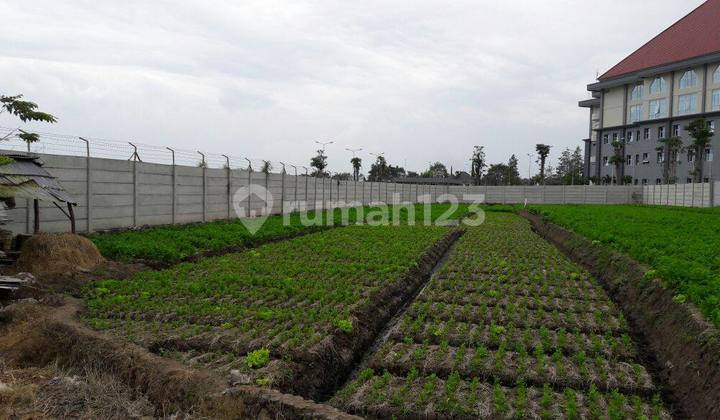 Tanah Selangkah ke Jatim Park di Pesanggrahan Batu Malang Tanah Selangkah ke Jatim Park di Pesanggrahan Batu Malang