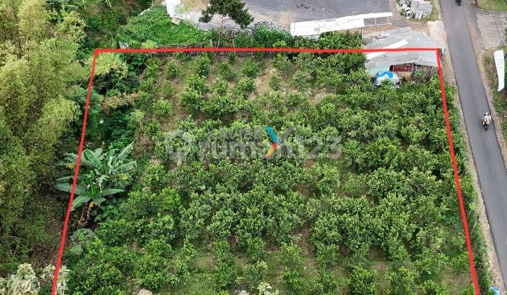 Tanah Siap Bangun Strategis di Puncak Joyo Agung Malang