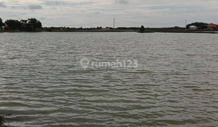 Jual Cepat Tambak Sawah Bonus Rumah 3,5ha Di Karawang 2