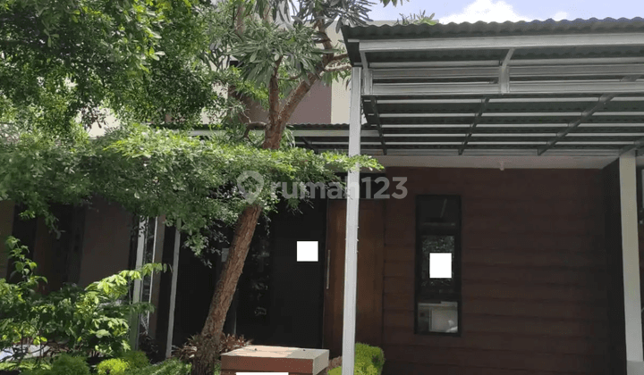 Rumah Nyaman Dan Asri Di Damara Village Bogor 1