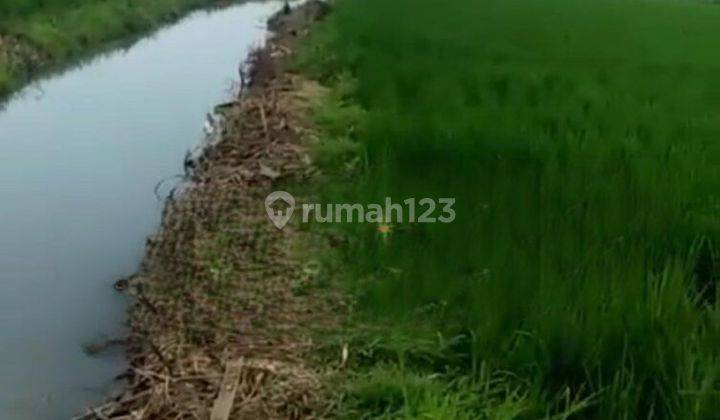 Tanah Sawah di Karawang Akses Sangat Strategis 1