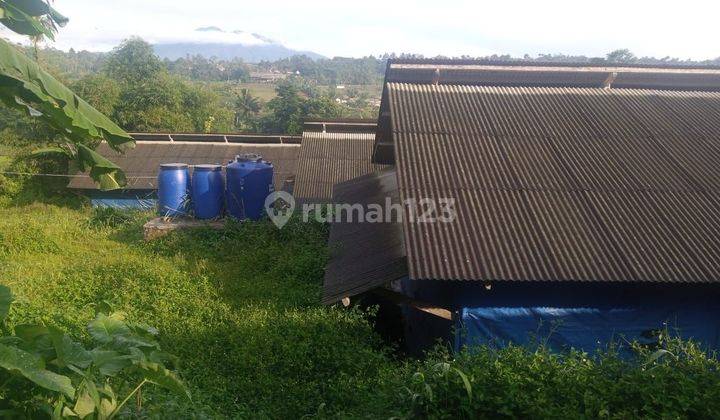 Dijual ruang usaha ex ayam petelur dan fasilitas desa Nagrak cibadak sukabumi 2