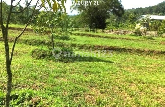 Sell Cheap Land in Purwakarta Regency 10181