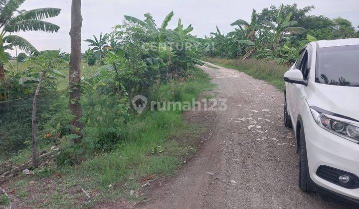 Dijual Tanah Kavling Sukaringin Sukawangi Bekasi 2